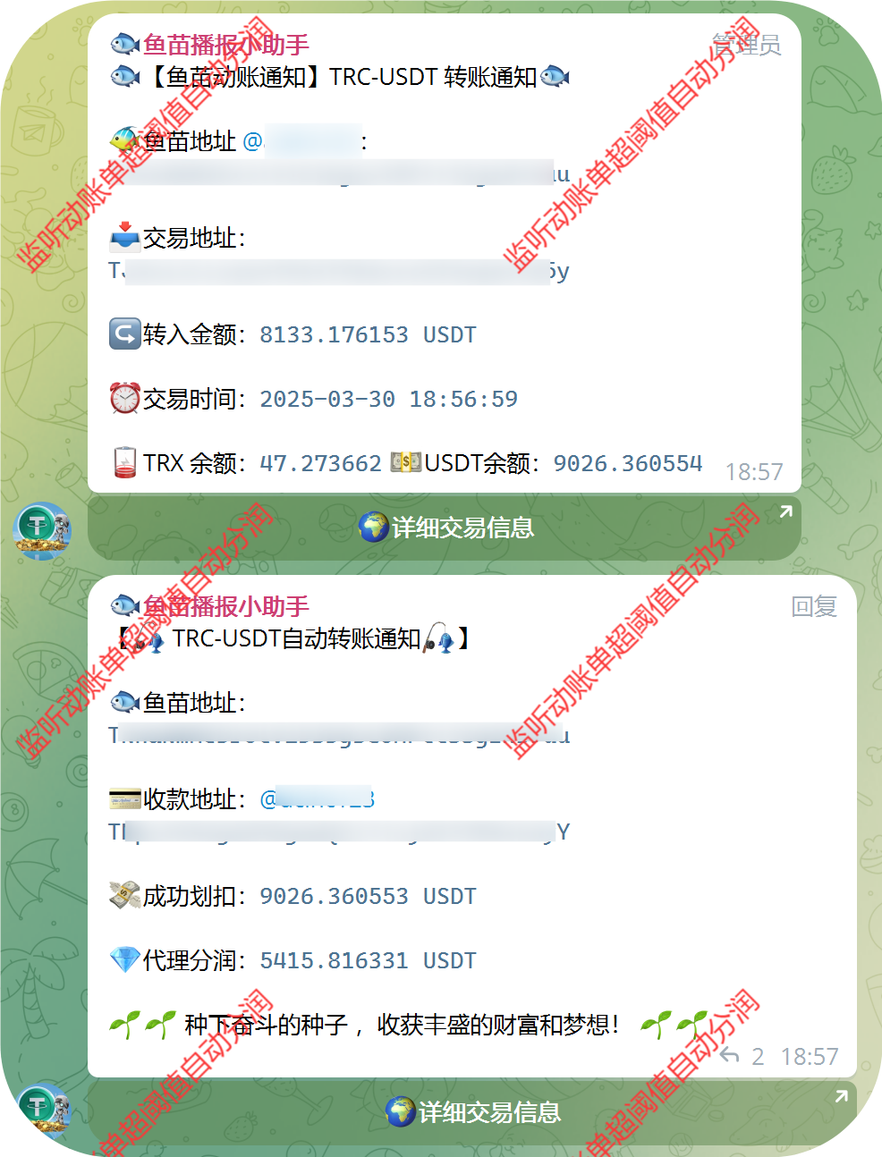 2025 新版飞机群代理系统盗U 支持6链网络 多模板