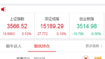 股票配资源码/策略系统源码 完美运营版