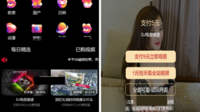 最新版付费视频打赏程序源码 多模板+全新UI 带包天+可扣量+代理 非云赏V系列