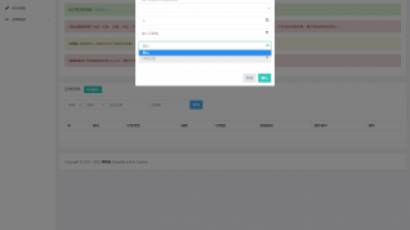 域名DNS解析系统 二级域名分发系统 二开UI分发系统源码下载