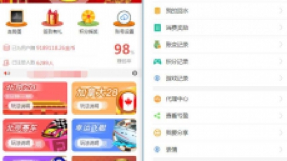 NET开发的幸运28程序源码下载,无需授权